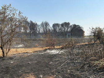 Fotos del incendio en un pinar junto a la autopista A-68 que obligó a desalojar el hotel Villa Castejón