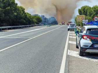 Fotos del incendio en un pinar junto a la autopista A-68 que obligó a desalojar el hotel Villa Castejón