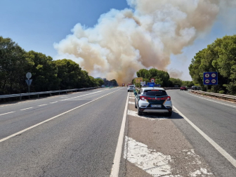 Fotos del incendio en un pinar junto a la autopista A-68 que obligó a desalojar el hotel Villa Castejón