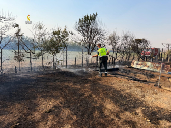 Fotos del incendio en un pinar junto a la autopista A-68 que obligó a desalojar el hotel Villa Castejón