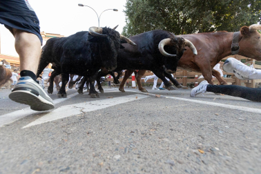 Primer encierro de fiestas de Tudela 2026