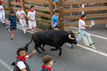 Primer encierro de fiestas de Tudela 2026