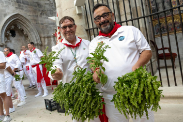 Fiestas de Tudela