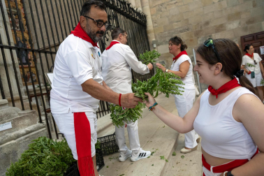 Fiestas de Tudela