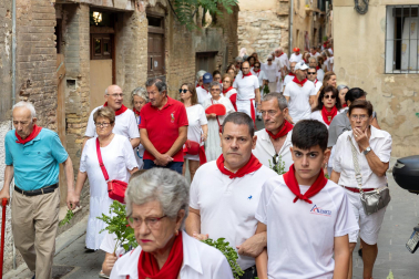 Fiestas de Tudela