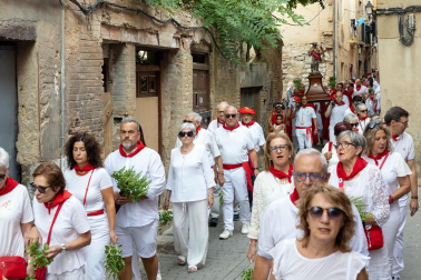 Fiestas de Tudela