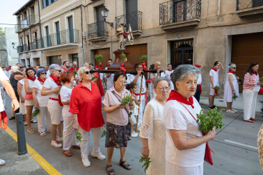 Fiestas de Tudela