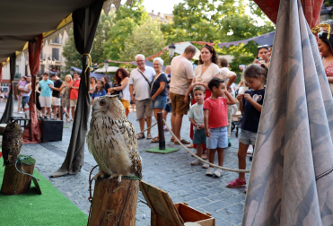 Fotos de la Semana Medieval de Estella