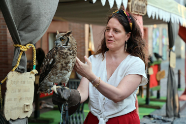 Fotos de la Semana Medieval de Estella