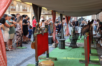 Fotos de la Semana Medieval de Estella