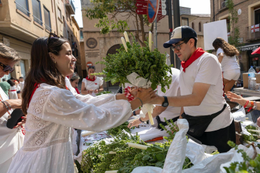 Procesión de Santa Ana en las fiestas de Tudela