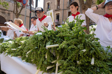 Procesión de Santa Ana en las fiestas de Tudela