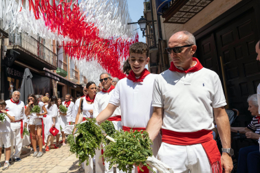 Procesión de Santa Ana en las fiestas de Tudela