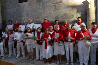Los más madrugadores acudieron este domingo, 26 de julio, a la procesión de Santa Ana la Vieja en las fiestas de Tudela 2026