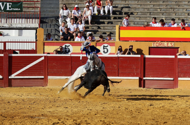 Andy Cartagena, Sergio Domínguez y Guillermo Hermoso de Mendoza se enfrentaron a los astados de Rosa Rodrigo en la corrida de rejones de fiestas de Tudela 2026 celebrada el domingo 26 de julio