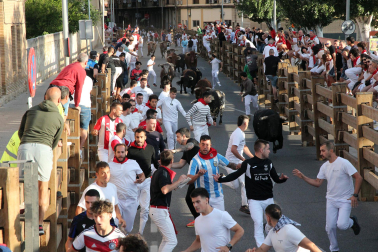 Fotos del tercer encierro de fiestas de Tudela 2026
