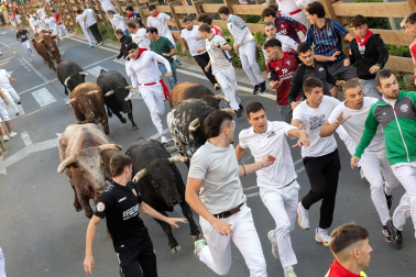 Fotos del tercer encierro de fiestas de Tudela 2026