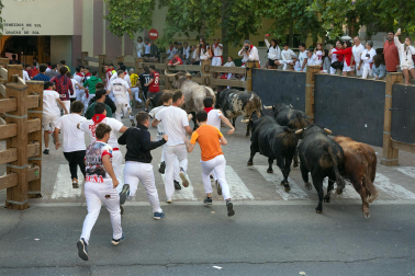 Fotos del tercer encierro de fiestas de Tudela 2026