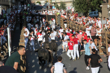Fotos del cuarto encierro de fiestas de Tudela 2026