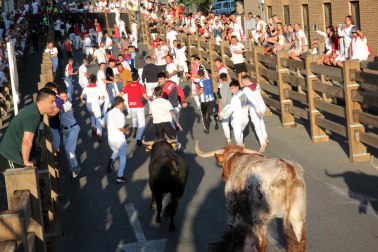 Fotos del cuarto encierro de fiestas de Tudela 2026