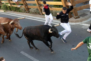 Fotos del cuarto encierro de fiestas de Tudela 2026