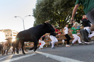 Fotos del cuarto encierro de fiestas de Tudela 2026