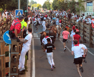 Fotos del cuarto encierro de fiestas de Tudela 2026