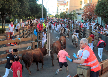 Fotos del cuarto encierro de fiestas de Tudela 2026