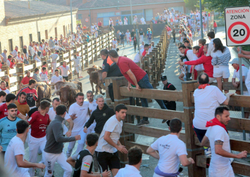 Fotos del cuarto encierro de fiestas de Tudela 2026