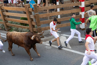 Fotos del quinto encierro de fiestas de Tudela 2026