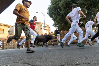 Fotos del quinto encierro de fiestas de Tudela 2026