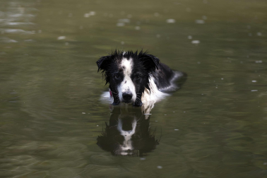 Las fuentes, la sombra, el río, bañarse... Toda opción es buena con el fin de evitar las altas temperaturas que azotan a Pamplona este miércoles, 29 de julio.