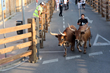 Fotos del último encierro de fiestas de Tudela