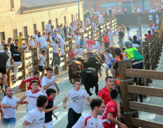 Fotos del último encierro de fiestas de Tudela