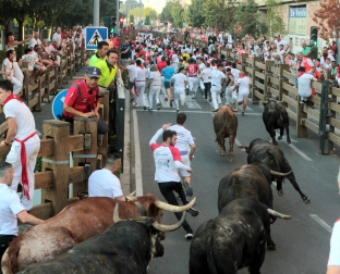 Fotos del último encierro de fiestas de Tudela