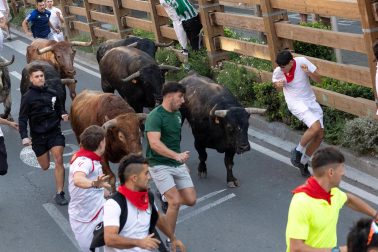 Fotos del último encierro de fiestas de Tudela