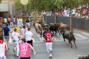 Fotos del último encierro de fiestas de Tudela