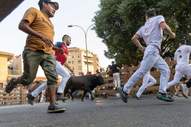 Fotos del último encierro de fiestas de Tudela
