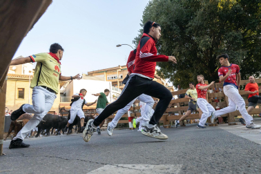 Fotos del último encierro de fiestas de Tudela