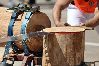 Fotos del campeonato navarro de tronza