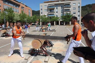 Fotos del campeonato navarro de tronza