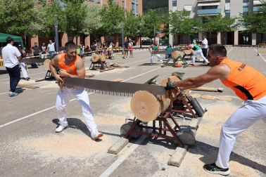 Fotos del campeonato navarro de tronza