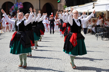 Fotos de la procesión y pañuelada de Estella