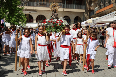 Fotos de la procesión y pañuelada de Estella