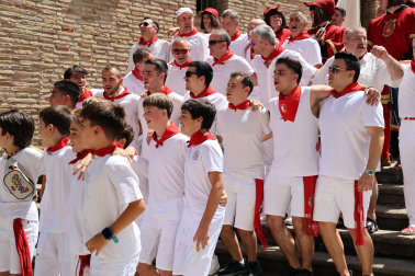 Fotos de la procesión y pañuelada de Estella