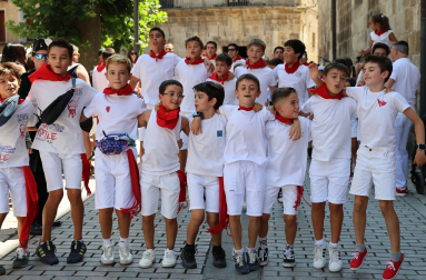 Fotos de la procesión y pañuelada de Estella