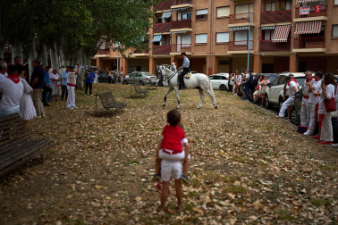 Fotos de la corrida mixta de fiestas de Estella