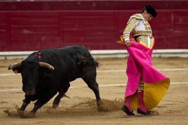 Fotos de la corrida mixta de fiestas de Estella