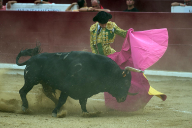 Fotos de la corrida mixta de fiestas de Estella