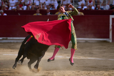 Fotos de la corrida mixta de fiestas de Estella